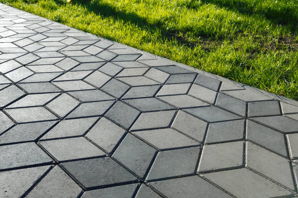  Lake Magdalene, FL Driveway Pavers Pros