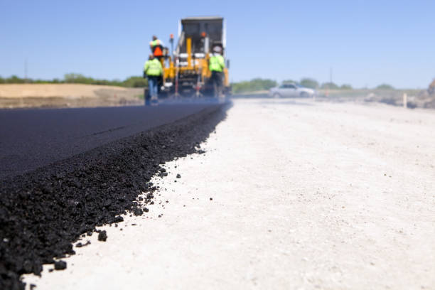 Best Residential Driveway Paver Services  in Lake Magdalene, FL